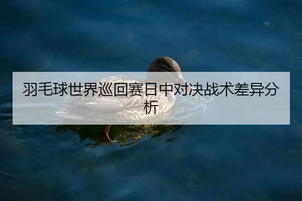 yu-mao-qiu-shi-jie-xun-hui-sai-ri-zhong-dui-jue-zhan-shu-cha-yi-fen-xi-2-764.jpg